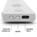 Led Recarregável 80cm