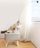 Brinquedo para gato pássaro interativo