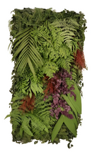 Parede Verde - Jardim Vertical