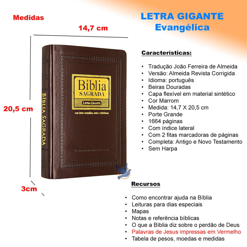 Bíblia RC