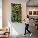 Parede Verde - Jardim Vertical