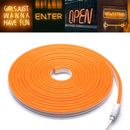 Fita Led Neon 5m x 2,5cm