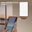 Interruptor Inteligente Wifi