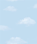 PAPEL DE PAREDE ROLO 5m x 1m