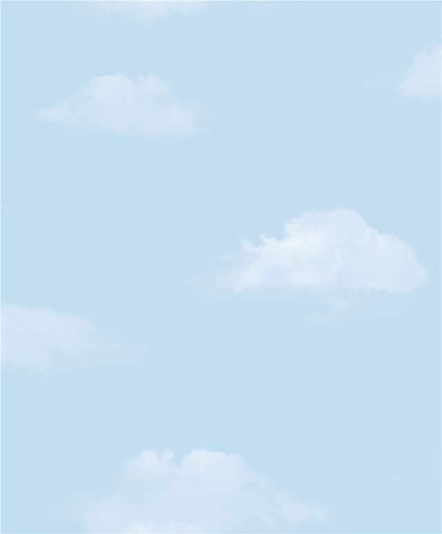 PAPEL DE PAREDE ROLO 5m x 1m